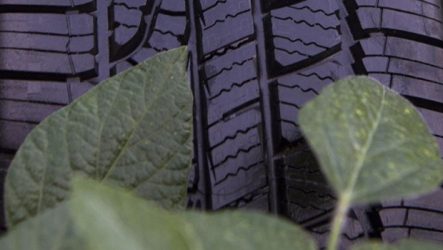 Goodyear – Soja utilizada no fabrico de pneus